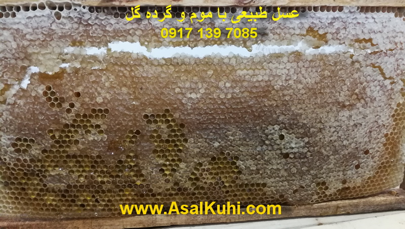 خرید عسل طبیعی با موم
